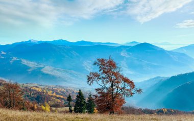 Sonbahar puslu Karpat dağ manzarası ile yamaç renkli ağaçlar.