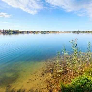 Güzel yaz göl sakin rushy kıyısı. Sakin ülke hayatı, kamp, balıkçılık Eko Dostu turizm kavramı.