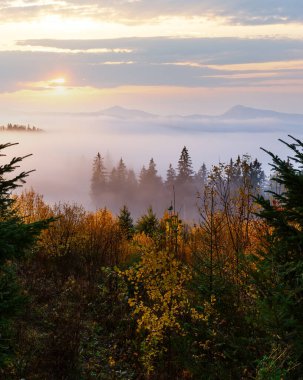 Karpat Dağları 'nın yamaçlarında sabah sisi (Ivano-Frankivsk oblast, Ukrayna). Chornohora aralığını göster.