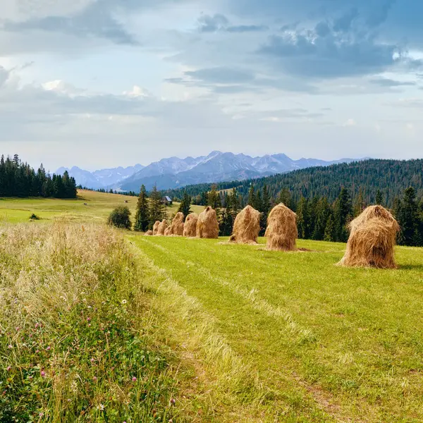 Summer Mountain Village Outskirts Haystacks Tatra Range Poland — Stock Photo, Image