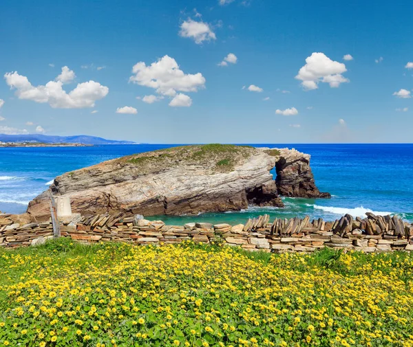 開花ある海岸の夏風景 カテドラル ビーチ ルーゴ ガリシア スペイン — ストック写真