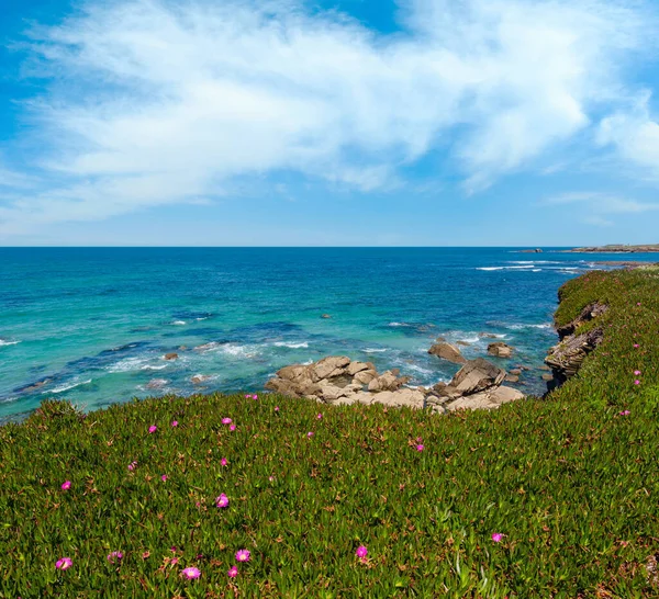 Zomer Bloeiend Landschap Van Atlantische Kust Met Roze Bloemen Buurt — Stockfoto