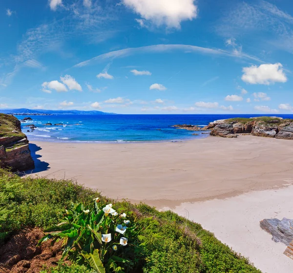 Yaz Atlantic coast, yatay, kumlu plaj ve beyaz çiçekler önünde (Praia Das Illas, İspanya).