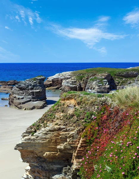 Sommerblühende Atlantische Strandinsel Galicien Spanien Mit Weißem Sand Und Rosa — Stockfoto