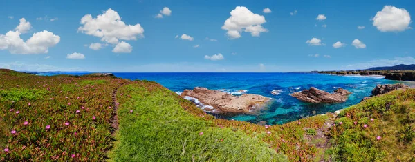 Létě Kvetoucí Krajina Pobřeží Atlantického Oceánu Růžovými Květy Dvě Pláže — Stock fotografie