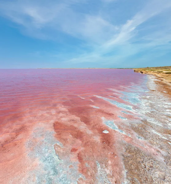 Pink Extremely Salty Syvash Lake Colored Microalgae Crystalline Salt Depositions — Stock Photo, Image