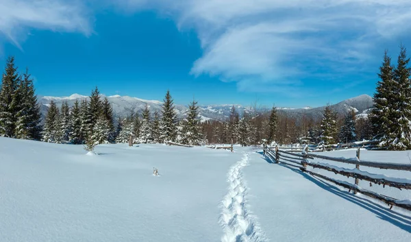 风景如画的冬晨山景观从高山路径与足迹 Skupova 乌克兰 Chornohora Pip 伊万山顶 — 图库照片