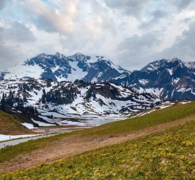 Yaz dağ manzaralı küçük kalbelesee Gölü ve kar çözdürme çayır (warth, vorarlberg, austria).