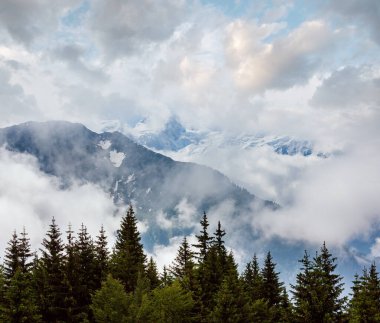 Mont blanc Dağı massif (chamonix valley, Fransa, görünümden plaine joux ilçe sınırı).