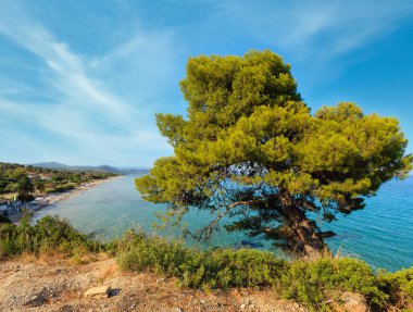 Harika kumsalda, Ege Denizi Sithonia, Halkidikya, Yunanistan.