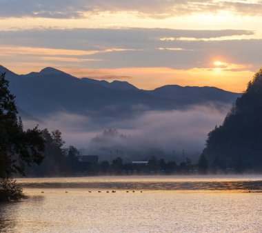 Huzurlu sonbahar Alpleri dağ gölü. Gündoğumu Wolfgangsee göl manzarası, St. Wolfgang im Salzkammergut, Yukarı Avusturya.