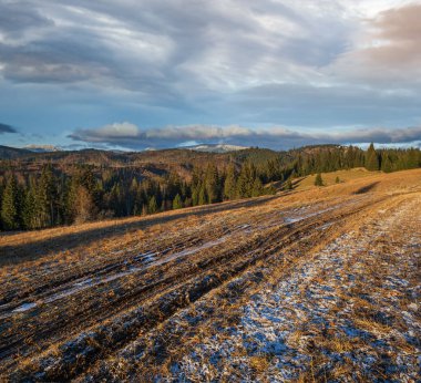 Sonbahar dağı sabah sahnesi. Huzurlu manzaralı seyahat, mevsimsel, doğa ve kırsal güzellik konsepti.