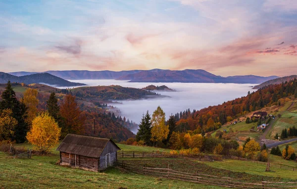 曇りと霧の秋の山の早朝の日の出前のシーン 静かな絵の旅 自然と田舎の美しさのコンセプトシーン ウクライナ カルパティア山脈 トランスカルパティア — ストック写真
