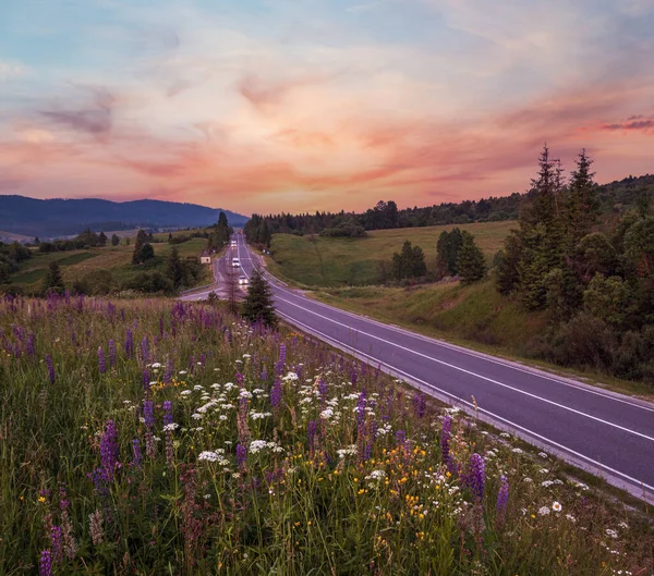 色彩斑斓的暮色六月 喀尔巴阡山乡村草地和公路 繁茂的植被和美丽的野花 — 图库照片