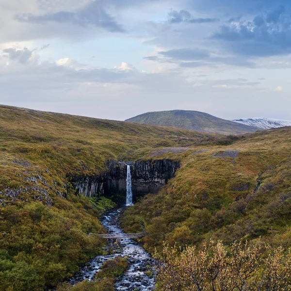 Picturesque Waterfall Svartifoss Icelandic Black Waterfall Surrounded Dark Lava Basalt — Stock Photo, Image