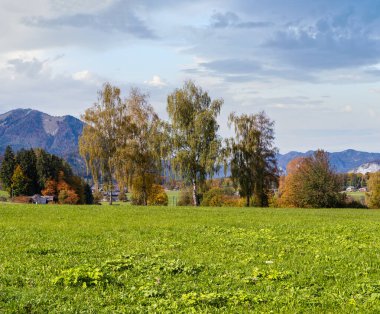 Peaceful autumn Alps mountain lake shore view. Wolfgangsee lake, Salzkammergut, Upper Austria.