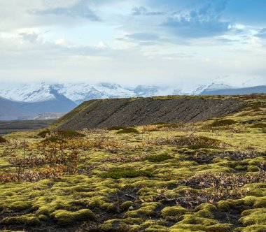 İzlanda sonbahar tundrası Haolkvisl buzulu, İzlanda yakınlarında. Buzul dili, buzul altı Esjufjoll volkanı yakınlarındaki Vatnajokull buzulundan veya Vatna Buzulu 'ndan kayar. İzlanda Çevre Yolu 'na yakın..