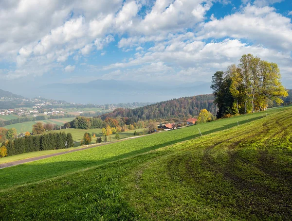 秋天的乡村景色 田野上有绿色的冬季作物 森林终结地 克伦堡 上奥地利州阿特高的草木 阿特西湖和城在远方 — 图库照片