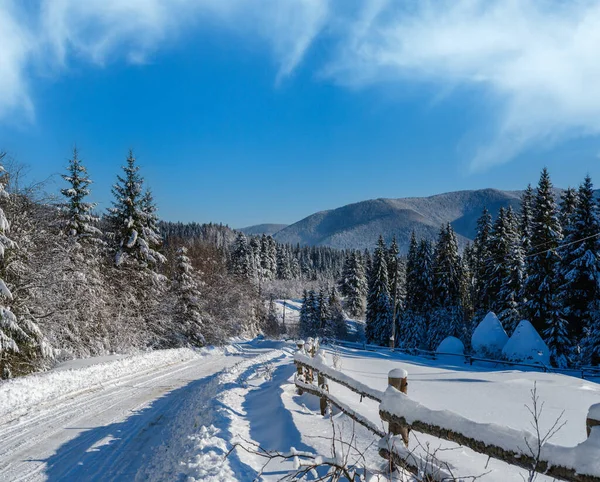Sekundární Alpská Cesta Odlehlé Horské Osady Zasněženým Jedlovým Lesem Sněhovými — Stock fotografie