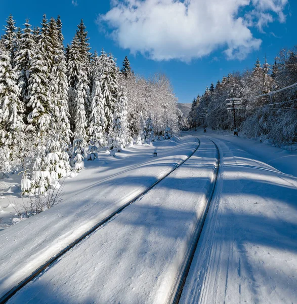 在喀尔巴阡山脉 铁路穿过白雪覆盖的冷杉林和遥远的高山头盔 雪堆在路边 — 图库照片