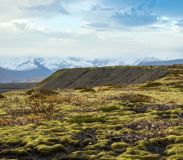 Исландский Осенний Тундровый Ландшафт Вблизи Ледника Хаолдуквиль Исландия Язык Ледника — стоковое фото
