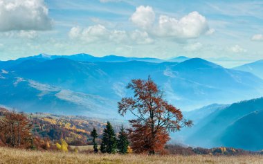 Sonbahar puslu Karpat dağ manzarası ile yamaç renkli ağaçlar.