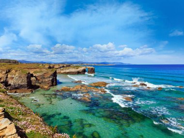 Çiçek açması Cantabric sahil yaz peyzaj (katedraller Beach, Lugo, Galiçya, İspanya).