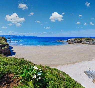 Yaz Atlantic coast, yatay, kumlu plaj ve beyaz çiçekler önünde (Praia Das Illas, İspanya).