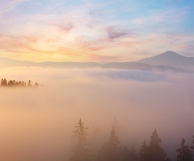 Sabah sis (Ivano-Frankivsk oblast, Ukraine) Karpat Dağları eteklerinde. Chornohora görünüm.