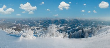 Dağ manzarası güzel süs ağaçları ve snowdrifts yamaç (Karpat Dağları, Ukrayna ile sabah kış sakin)