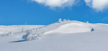 Kış sakin dağ panorama manzara güzel süs ağaçları ve snowdrifts yamaç (Karpat Dağları, Ukrayna)