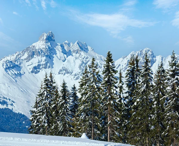 Invierno Montaña Abeto Bosque Nevado Paisaje Parte Superior Papageno Bahn —  Fotos de Stock