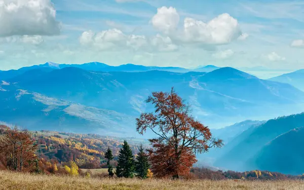 Sonbahar puslu Karpat dağ manzarası ile yamaç renkli ağaçlar.