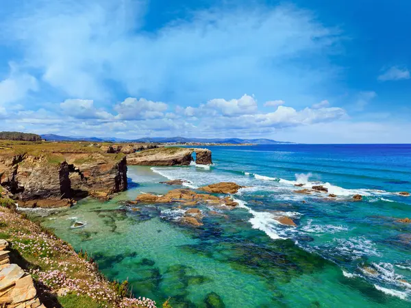 Blommande Cantabric Kusten Sommarlandskap Katedraler Beach Lugo Galicien Spanien — Stockfoto