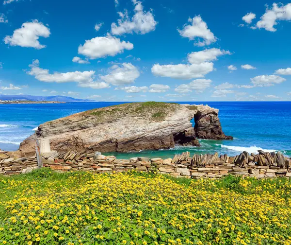 Blommande Cantabric Kusten Sommarlandskap Katedraler Beach Lugo Galicien Spanien — Stockfoto