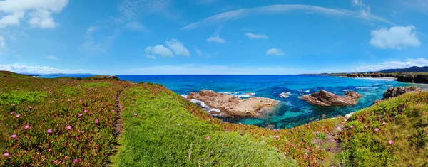 Estate Fiore Paesaggio Costiero Atlantico Con Fiori Rosa Due Spiagge — Foto Stock