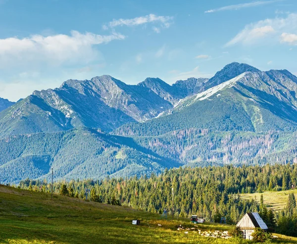 Summer Mountain Village Outskirts Barn Flock Sheep Tatra Range Poland — Stock Photo, Image