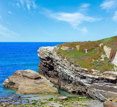 Yaz çiçek açması Atlantic coast, yatay, pembe çiçekler (Islas beach, İspanya).