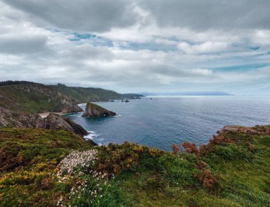 Costa de Loiba manzara çiçek açması çalılar ve kıyı (Asturias, İspanya yakınındaki kaya oluşumları ile akşam).