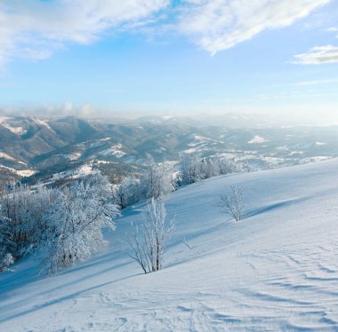 Dağ manzarası güzel süs ağaçları ve snowdrifts yamaç (Karpat Dağları, Ukrayna ile sabah kış sakin)