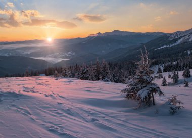 Resimli kış Alpleri gün doğumunda. Ukrayna Karpatları 'nın en yüksek sırtı Hoverla ve Petros dağlarının zirveleriyle Chornohora' dır. Svydovets sırtı ve Dragobrat kayak merkezinden görüntü.