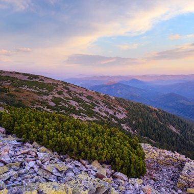 Yaz Karpat Dağları akşam manzarası. Stony Gorgany Massif, Ukrayna.