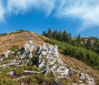 Sonbahar sabahı Karpat Dağları sakin resim sahnesi, Ukrayna.