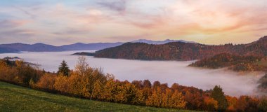Sonbahar kırsalında sabah sisli bulutlar. Ukrayna, Karpat Dağları, Transcarpathia. Huzurlu manzaralı seyahat, mevsimsel, doğa ve kırsal güzellik konsepti.