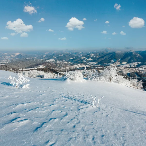 Dağ manzarası güzel süs ağaçları ve snowdrifts yamaç (Karpat Dağları, Ukrayna ile sabah kış sakin)