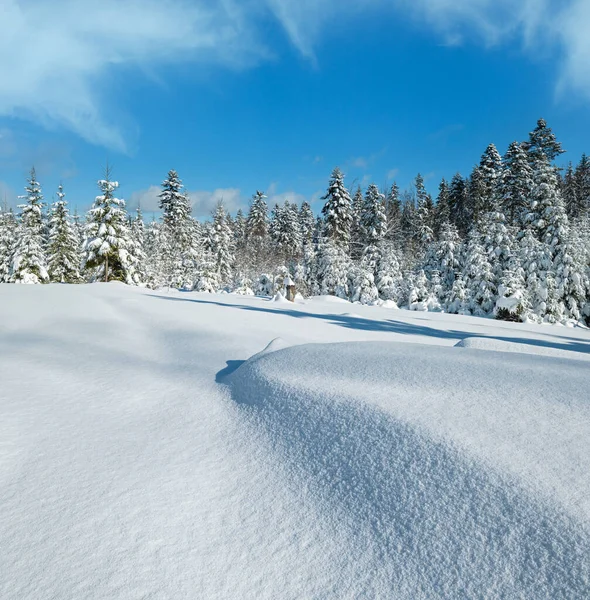 Floresta Abeto Inverno Nevada Montanha Alpina Com Nevascas — Fotografia de Stock