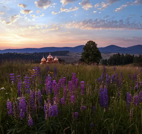风景如画的暮色六月 喀尔巴阡山的乡间草场和教堂的圆顶在远方 繁茂的植被和美丽的野花 — 图库照片