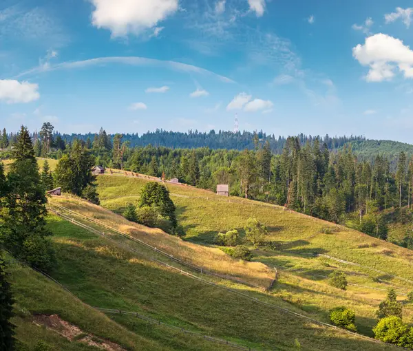 Picturesque Summer Carpathian Mountain Countryside View Ukraine — Stock Photo, Image