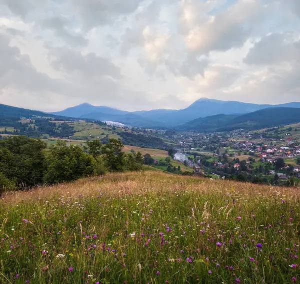 美丽的夏季喀尔巴阡山乡村草甸 植物繁茂 野花美丽 Hoverla和Petros的顶部在很远 — 图库照片
