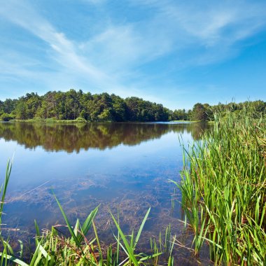 Kıyıda küçük bir korulukla birlikte yaz sıcağı sıcağına göl manzarası
